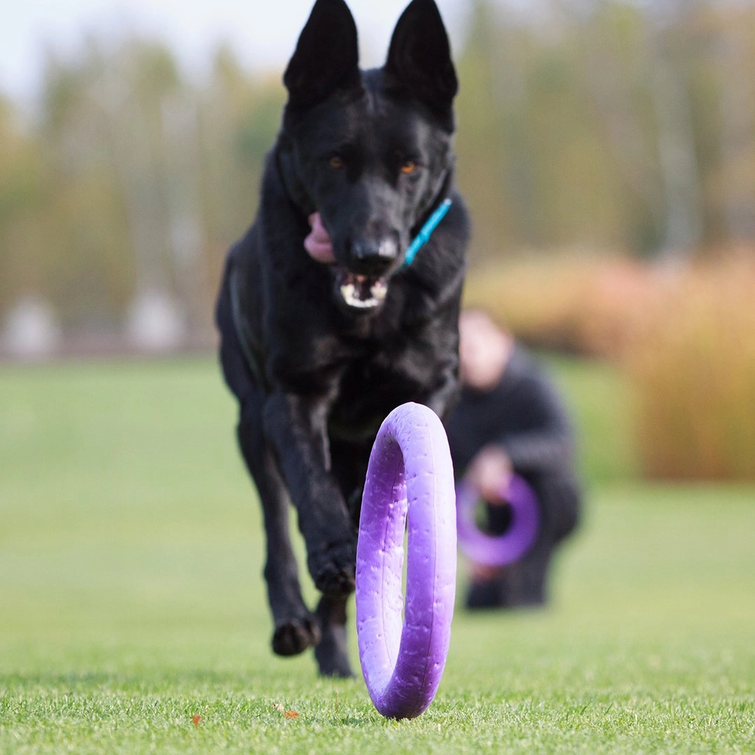 Puller Interactive Toy