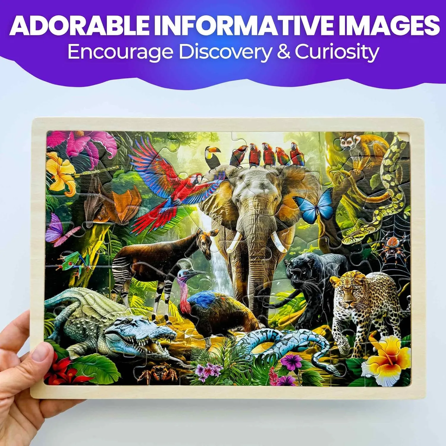 QUOKKA 4SET Puzzles for Kids Ages 4-6 - 36 Pcs Wooden Realistic Montessori Puzzles Ages 3-5 - Polar & Tropical Regions, Yellowstone & Australian Animals Learning Games for Boys and Girls 4-8 Year Old