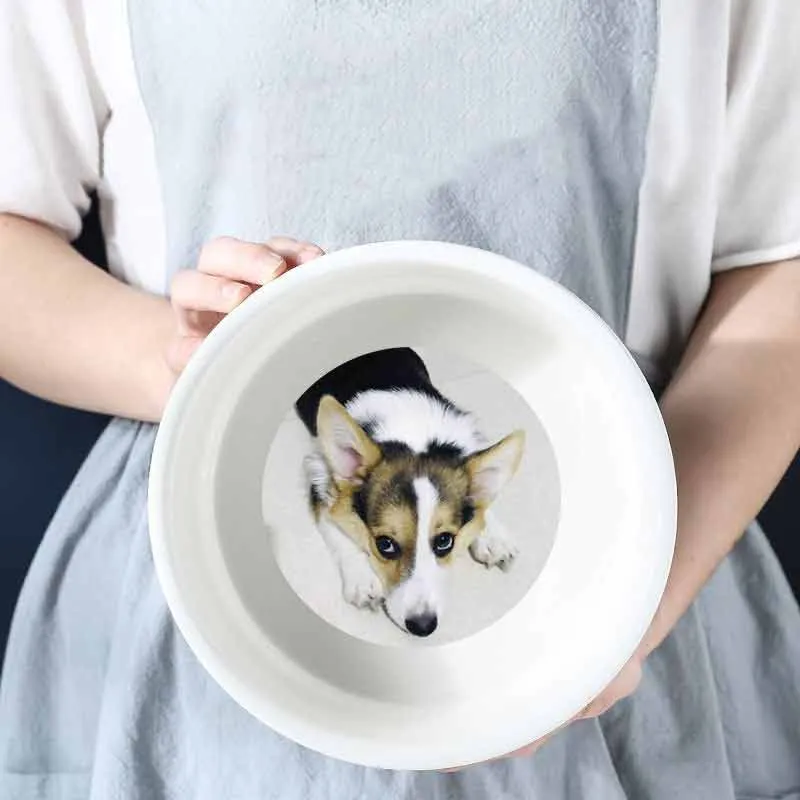 Raised Dog Feeder Custom Photo Large Capacity Pet Bowl