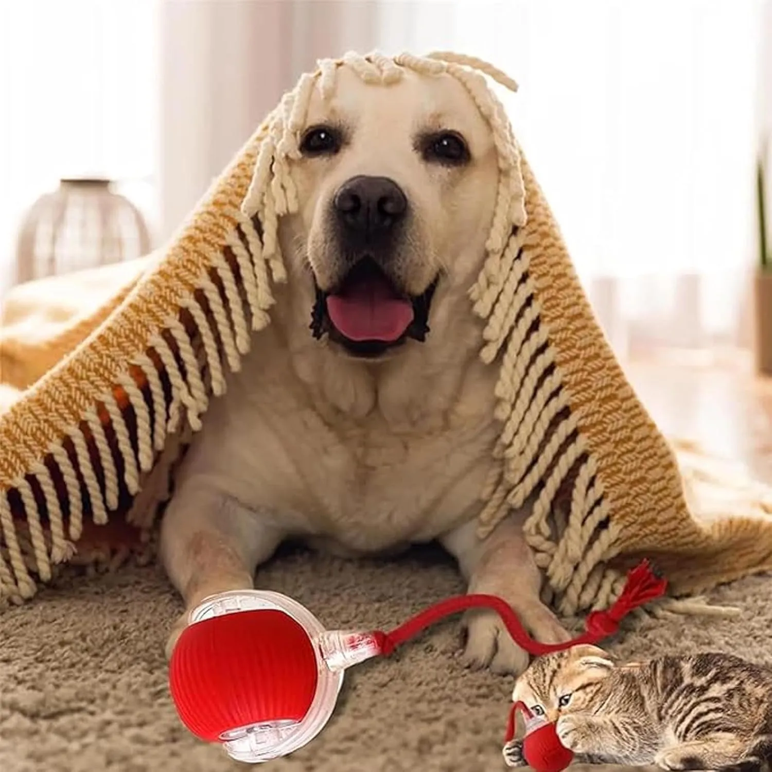 Rollraptor Interactive Pet Toy Ball, Smart Chase Pet Toy Ball, 3 Modes Smart Sensing Self Rolling Interactive Cat Ball Good Cat Motion, Self-Moving Automatic Dog Toy for Indoor (3colors)