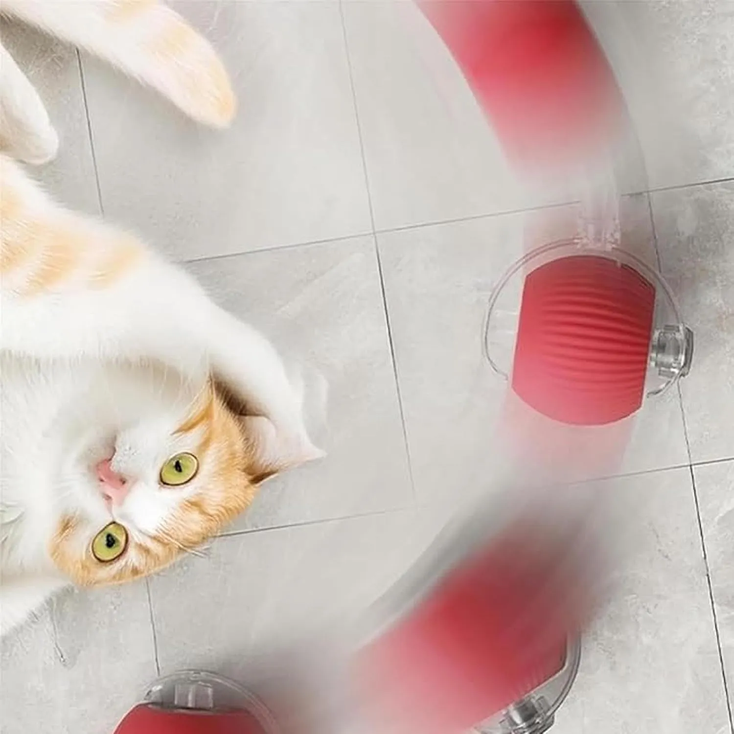 Rollraptor Interactive Pet Toy Ball, Smart Chase Pet Toy Ball, 3 Modes Smart Sensing Self Rolling Interactive Cat Ball Good Cat Motion, Self-Moving Automatic Dog Toy for Indoor (3colors)