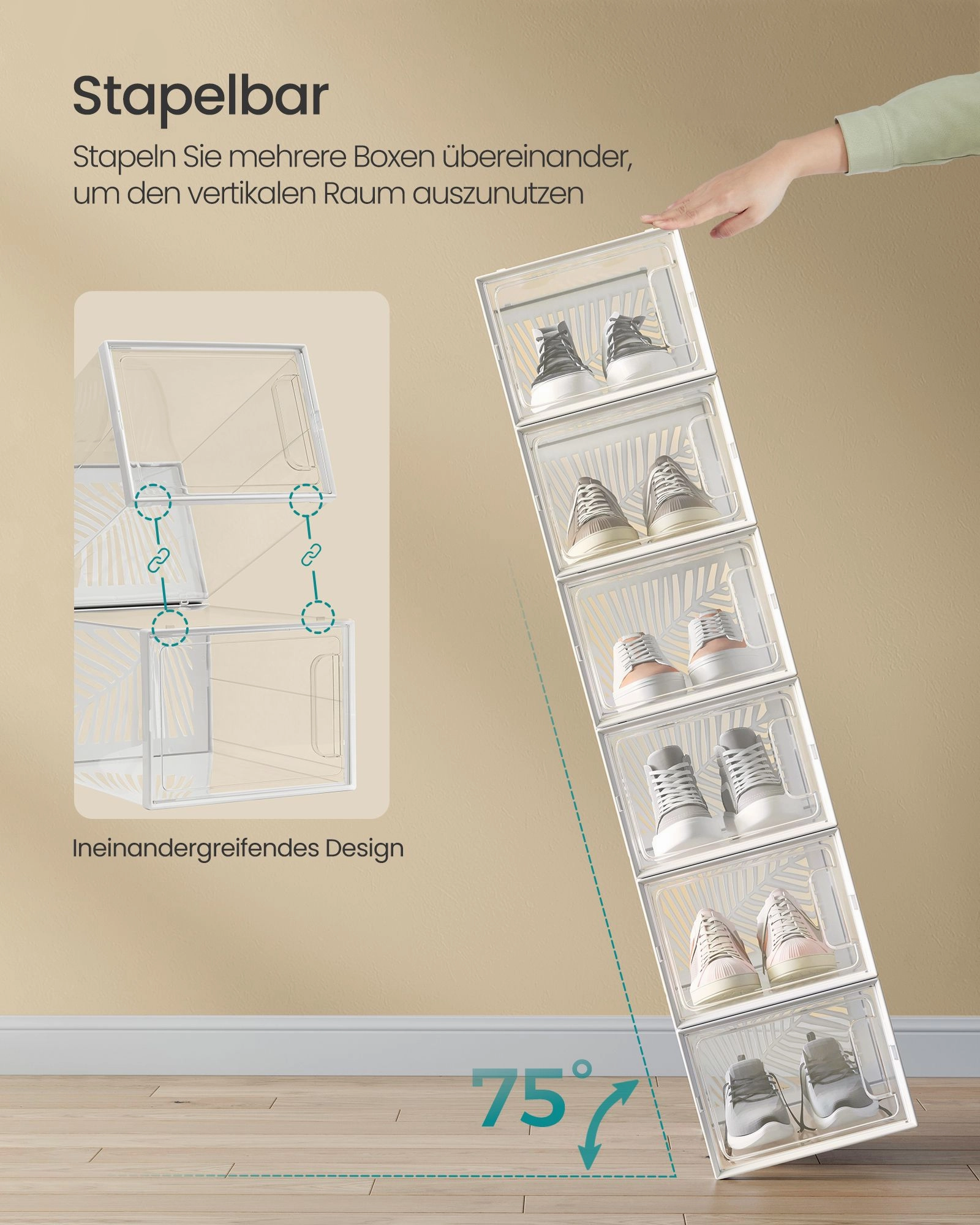 Rootz 12 Pack Shoe Box Organizer - Transparent White - Foldable & Stackable - PET Body - HIPS Frame - 35cm x 25.5cm x 19cm