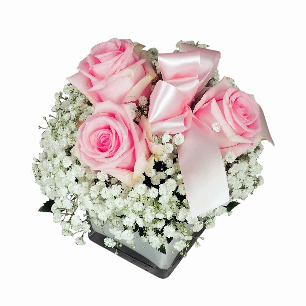 Rose and Babies Breath Cube