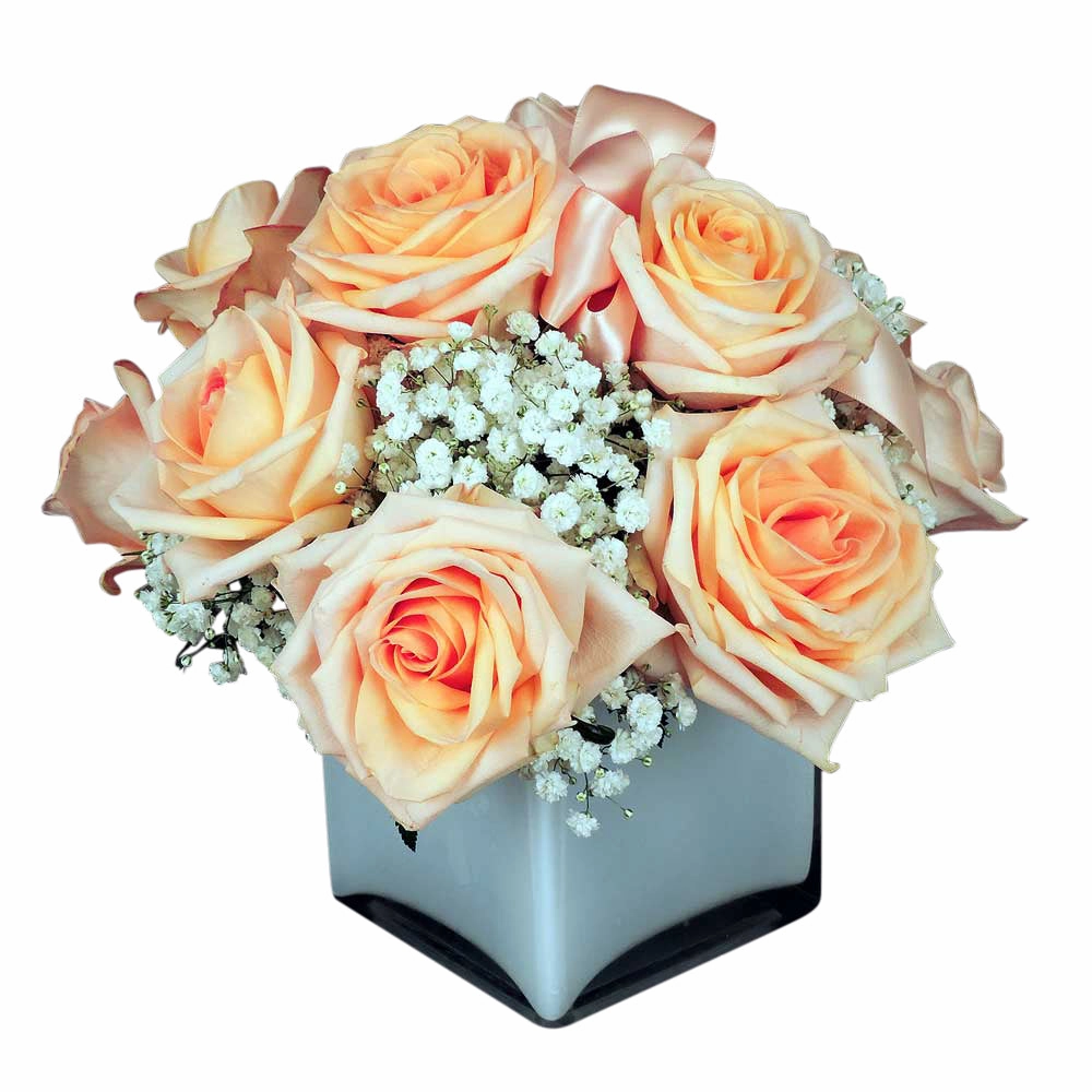 Rose and Babies Breath Cube