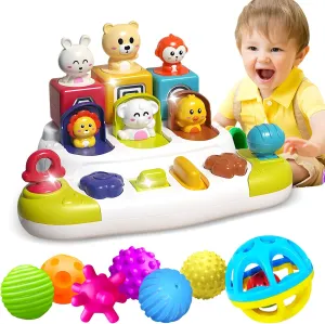 Sensory Balls for Baby & Pop Up Toy for Toddlers - Montessori Sensory Toys for 6-12 Months, Textured Baby Balls and Animal Pop Up Toy for Cause and Effect Learning, for Boys