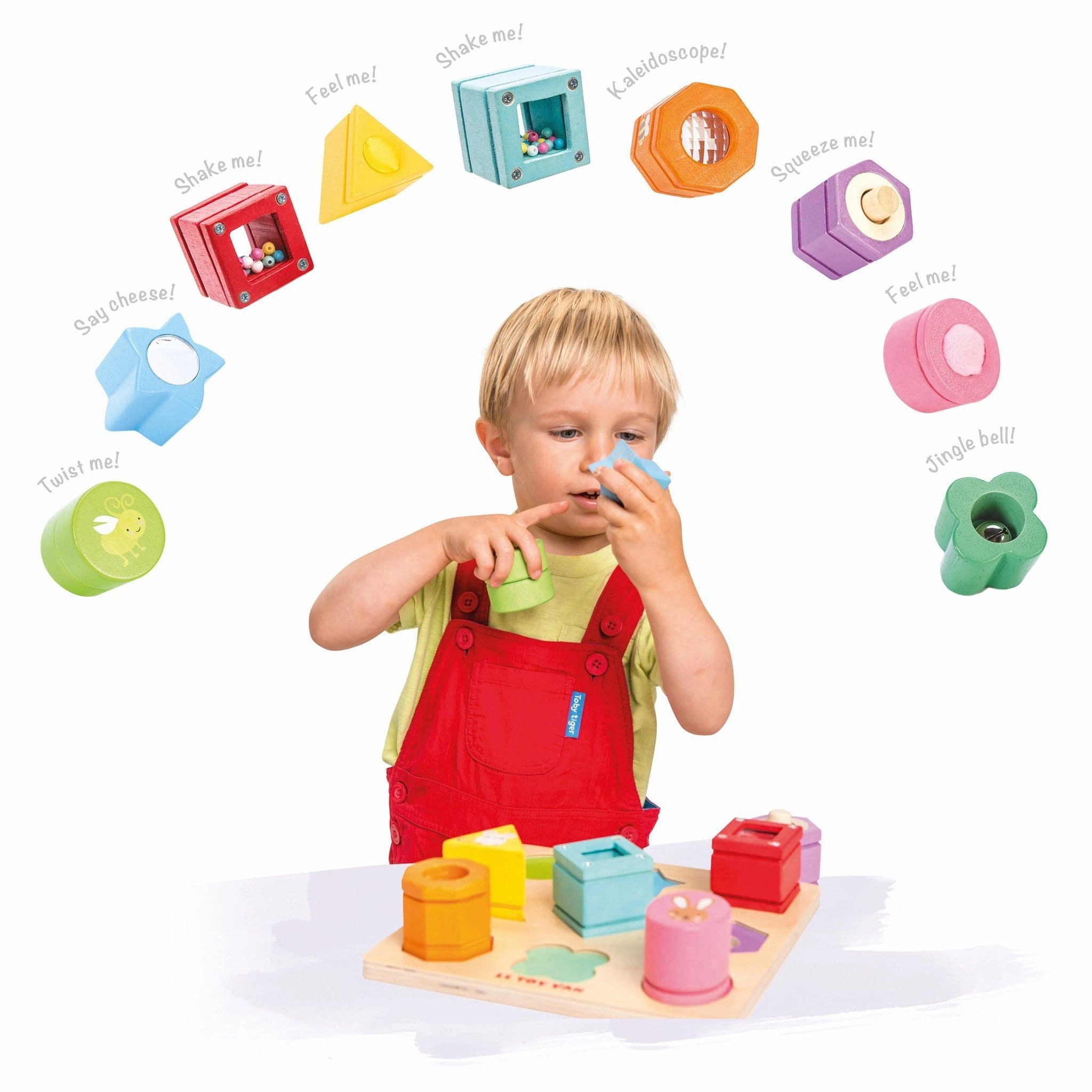 Sensory Shapes