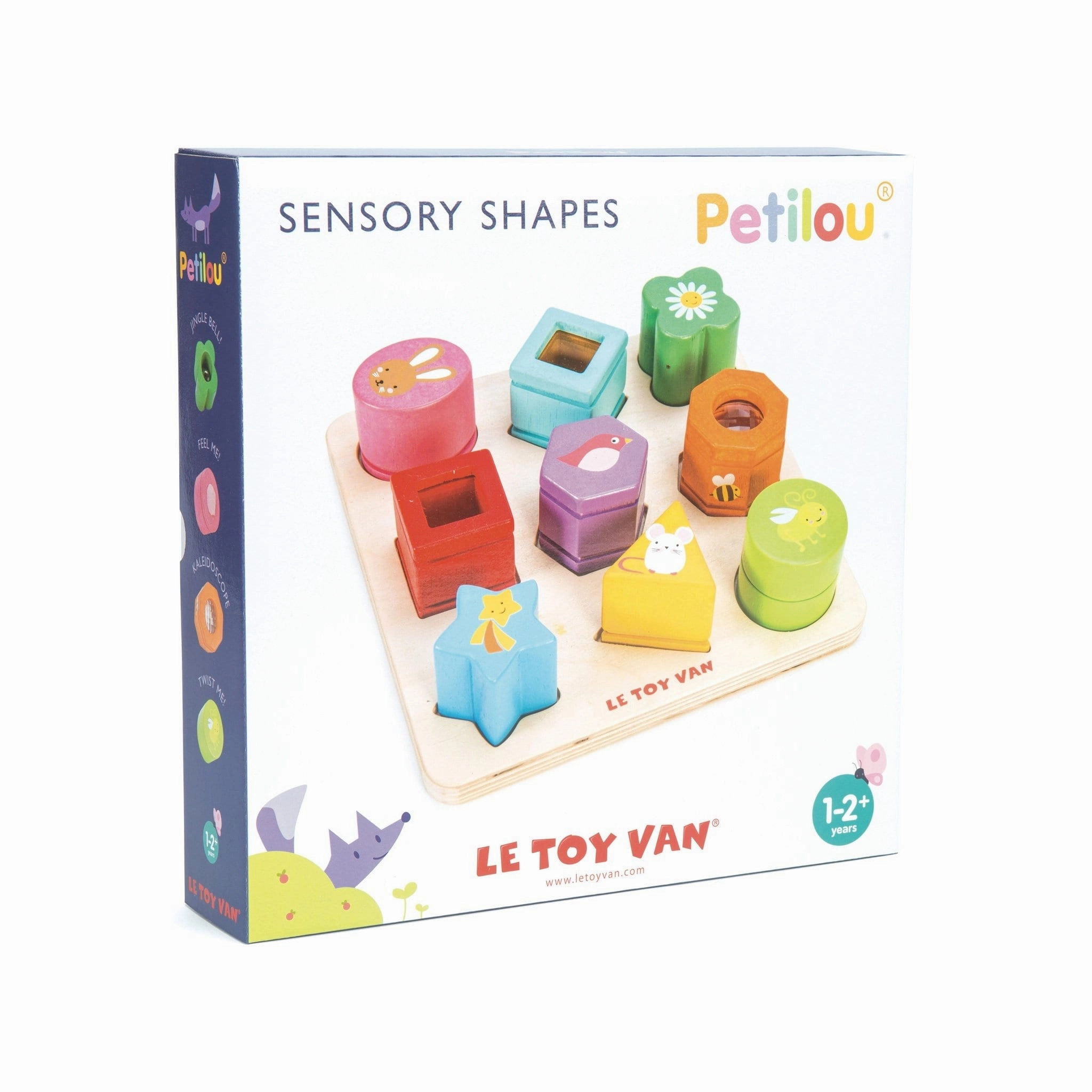 Sensory Shapes
