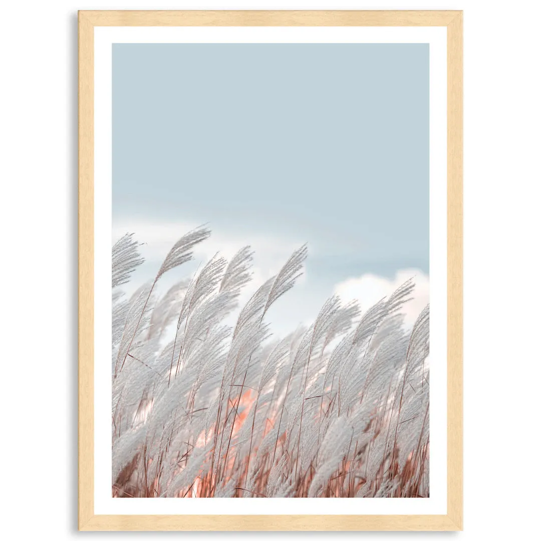 SILVER GRASS IV - Framed Print