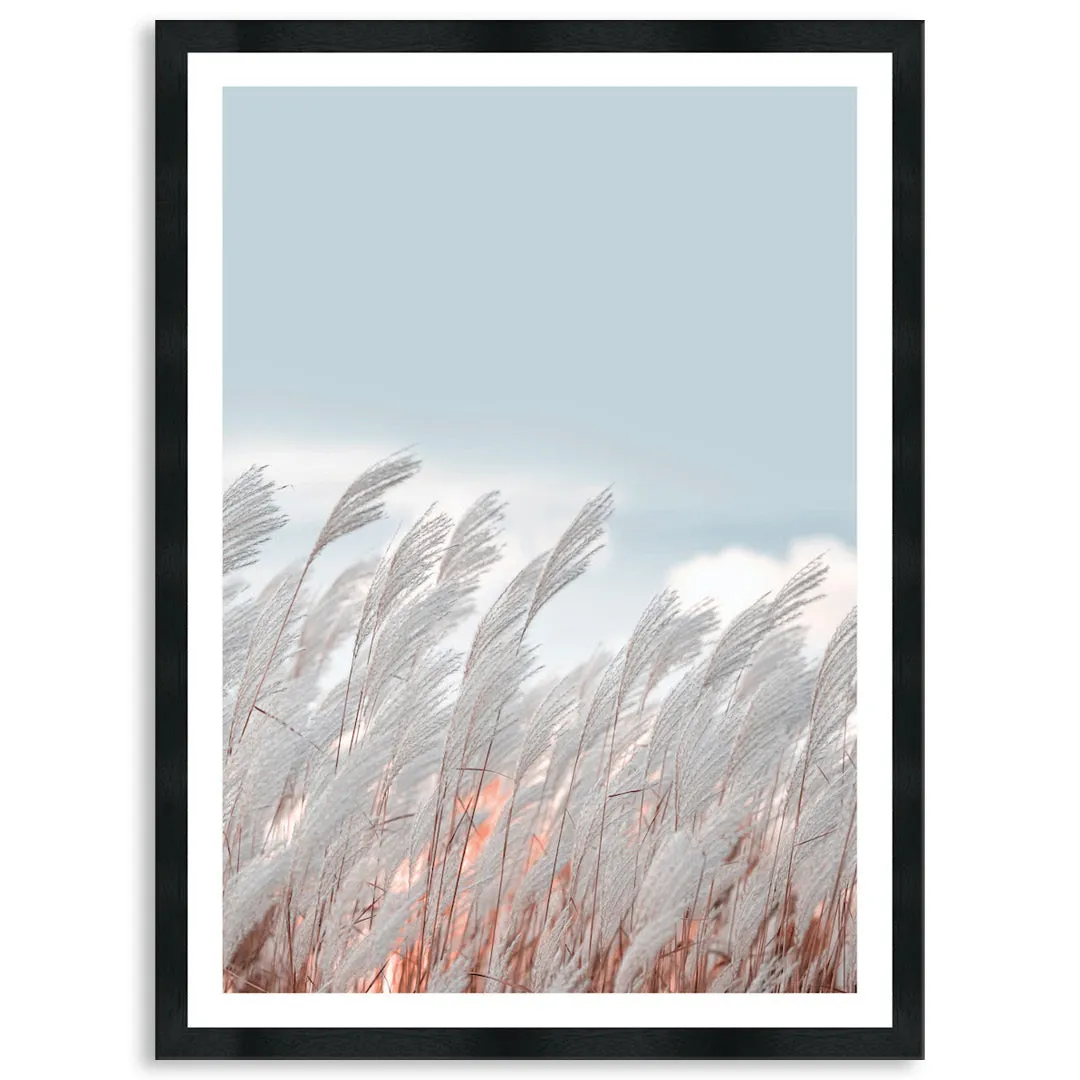 SILVER GRASS IV - Framed Print