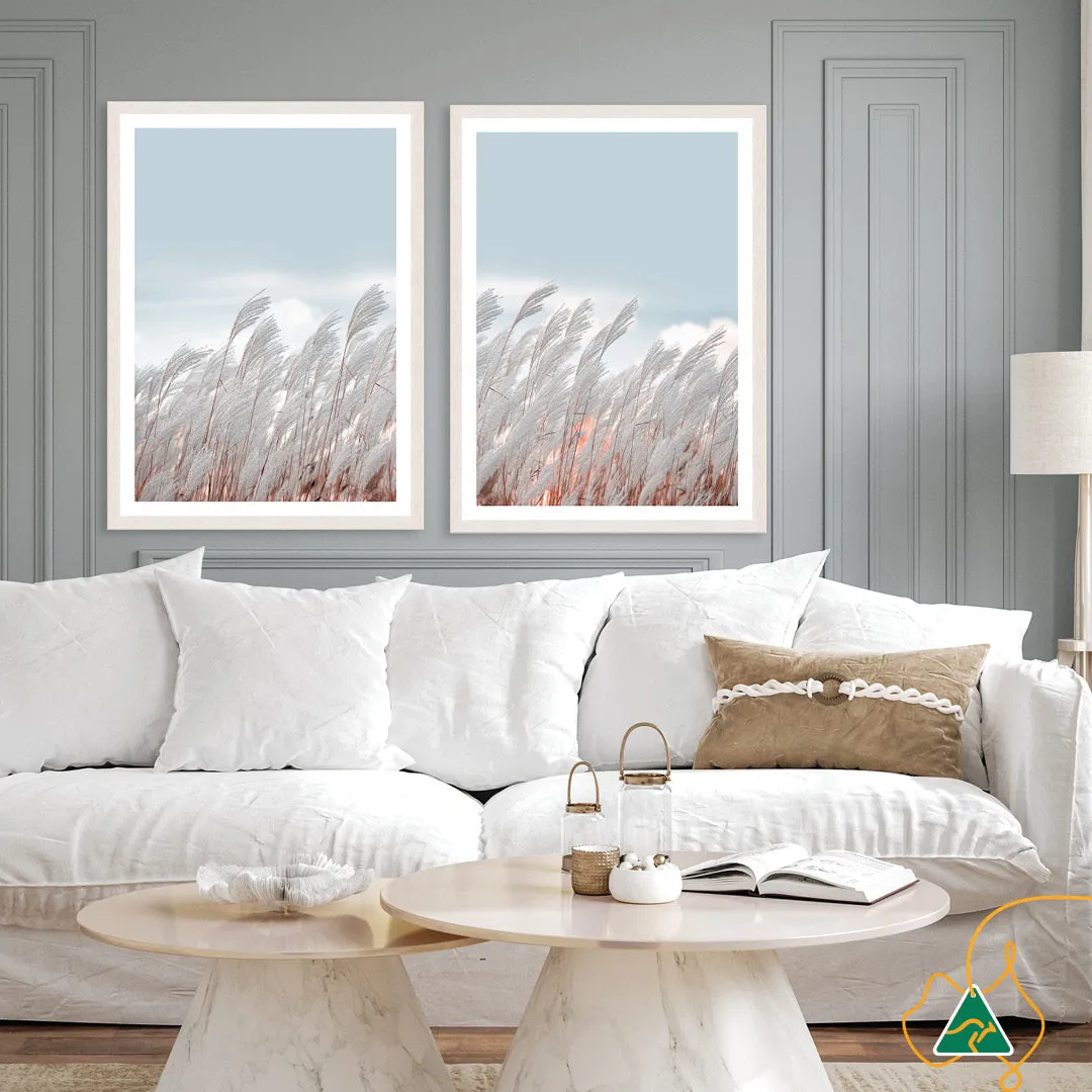 SILVER GRASS IV - Framed Print