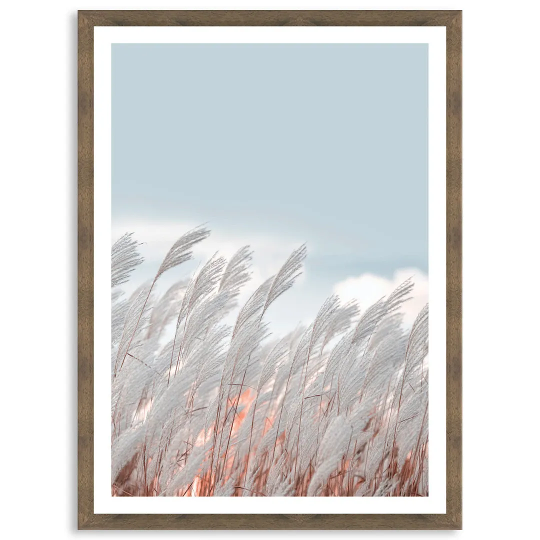 SILVER GRASS IV - Framed Print