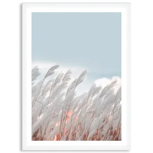 SILVER GRASS IV - Framed Print