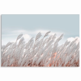 SILVER GRASS I - Canvas Print