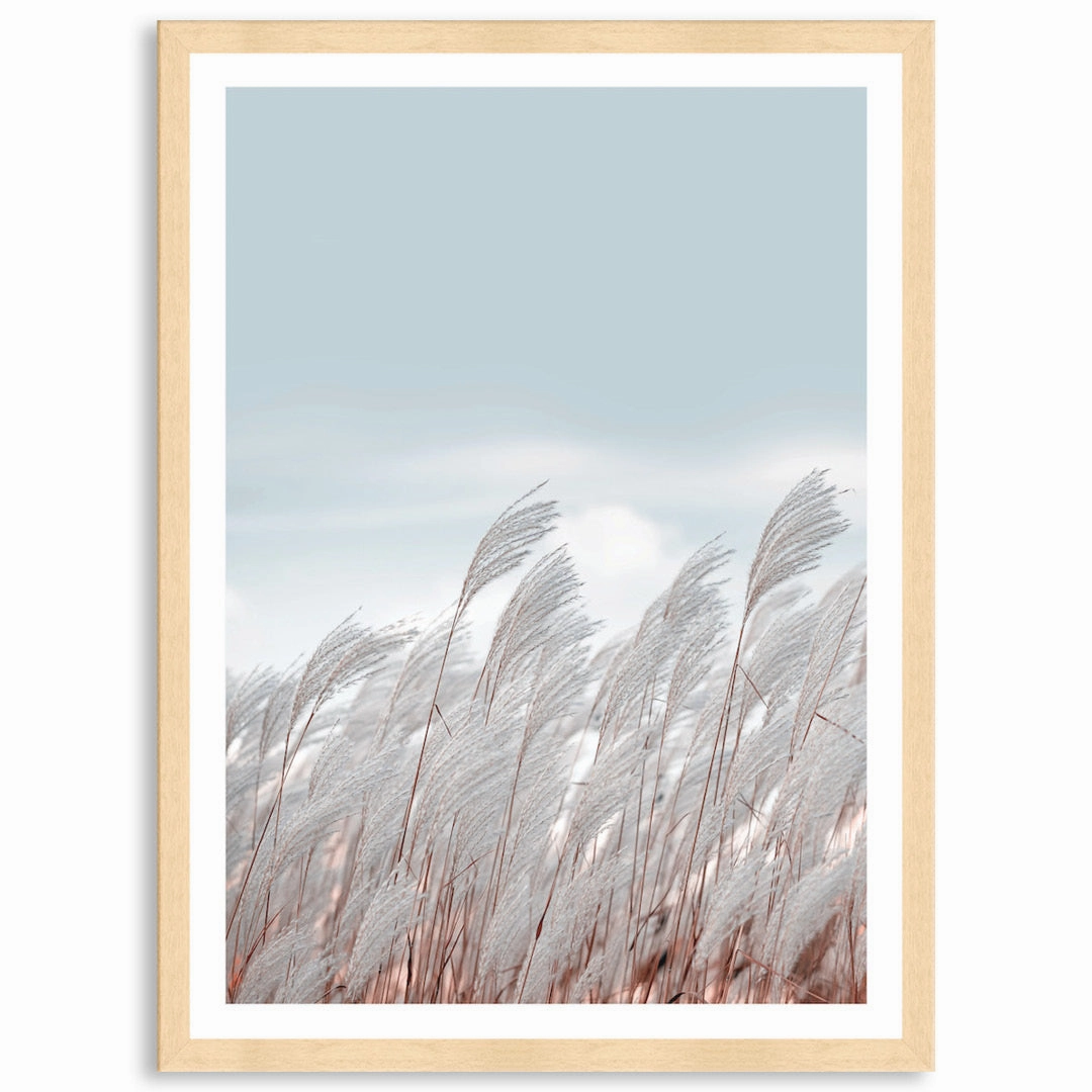 SILVER GRASS III - Framed Print
