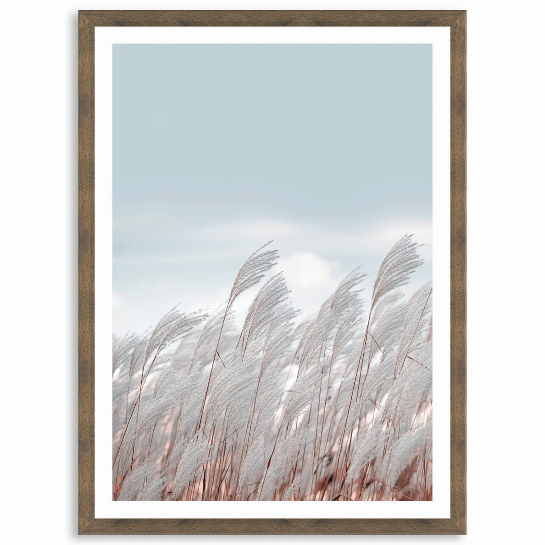 SILVER GRASS III - Framed Print