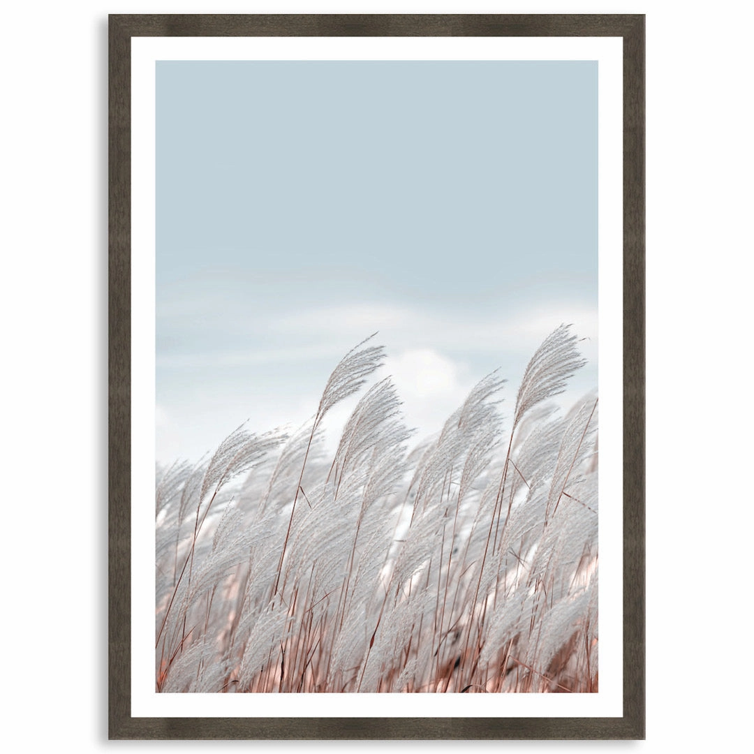 SILVER GRASS III - Framed Print