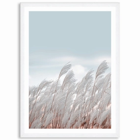 SILVER GRASS III - Framed Print
