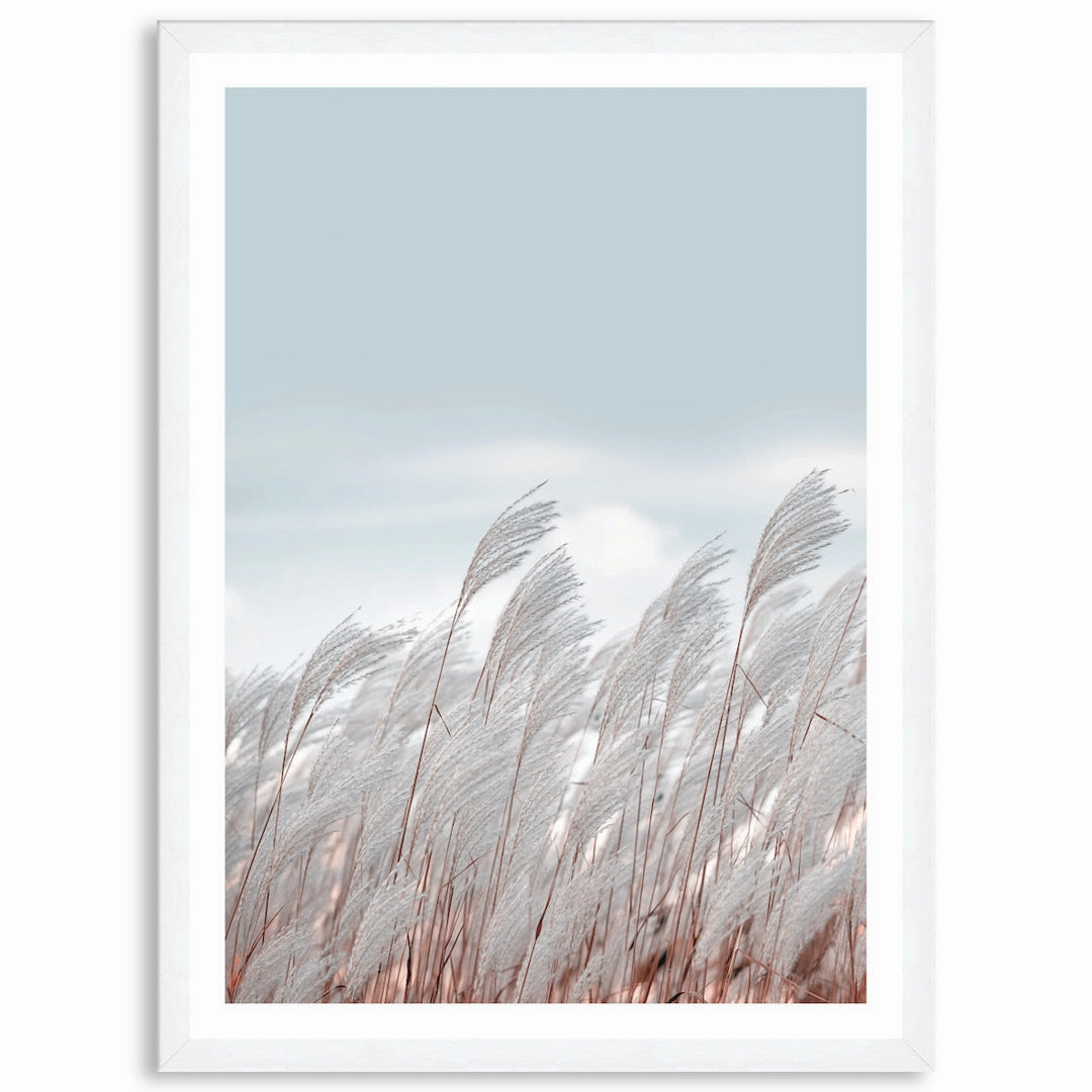 SILVER GRASS III - Framed Print