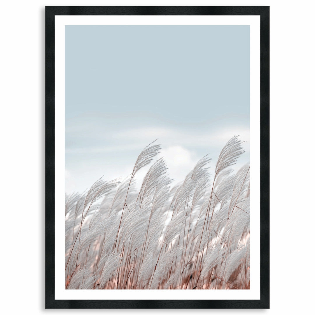 SILVER GRASS III - Framed Print