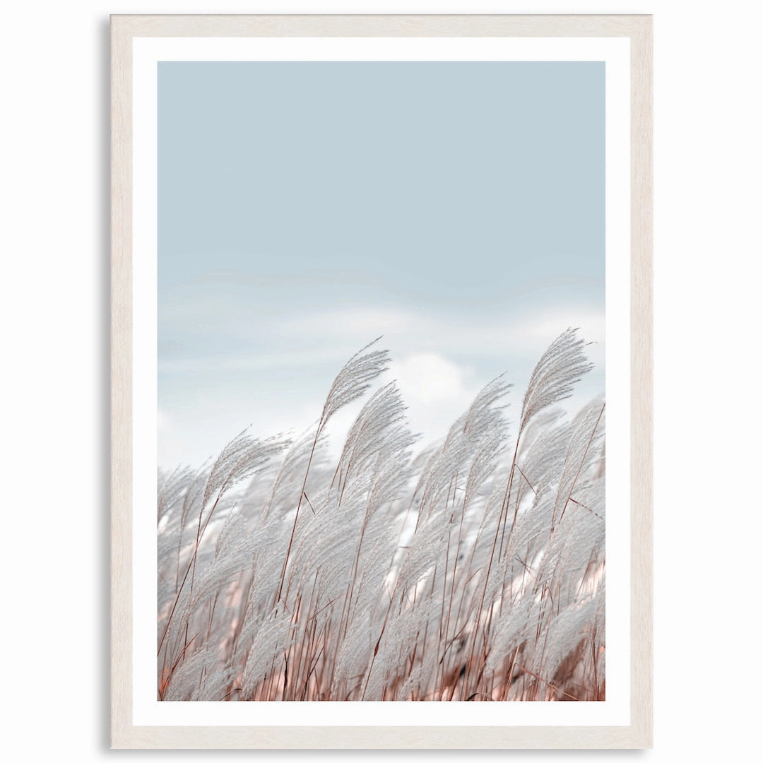 SILVER GRASS III - Framed Print