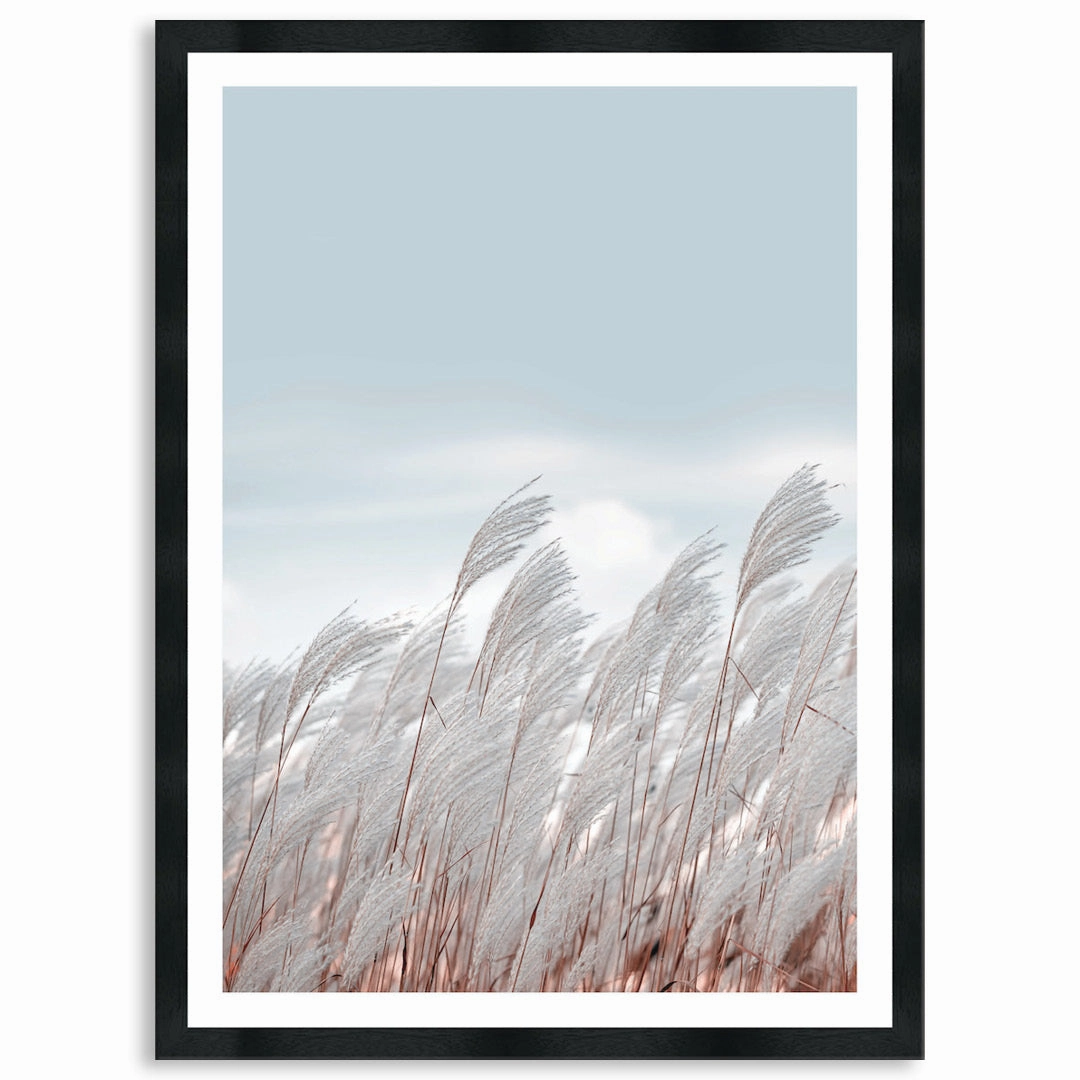 SILVER GRASS III - Framed Print