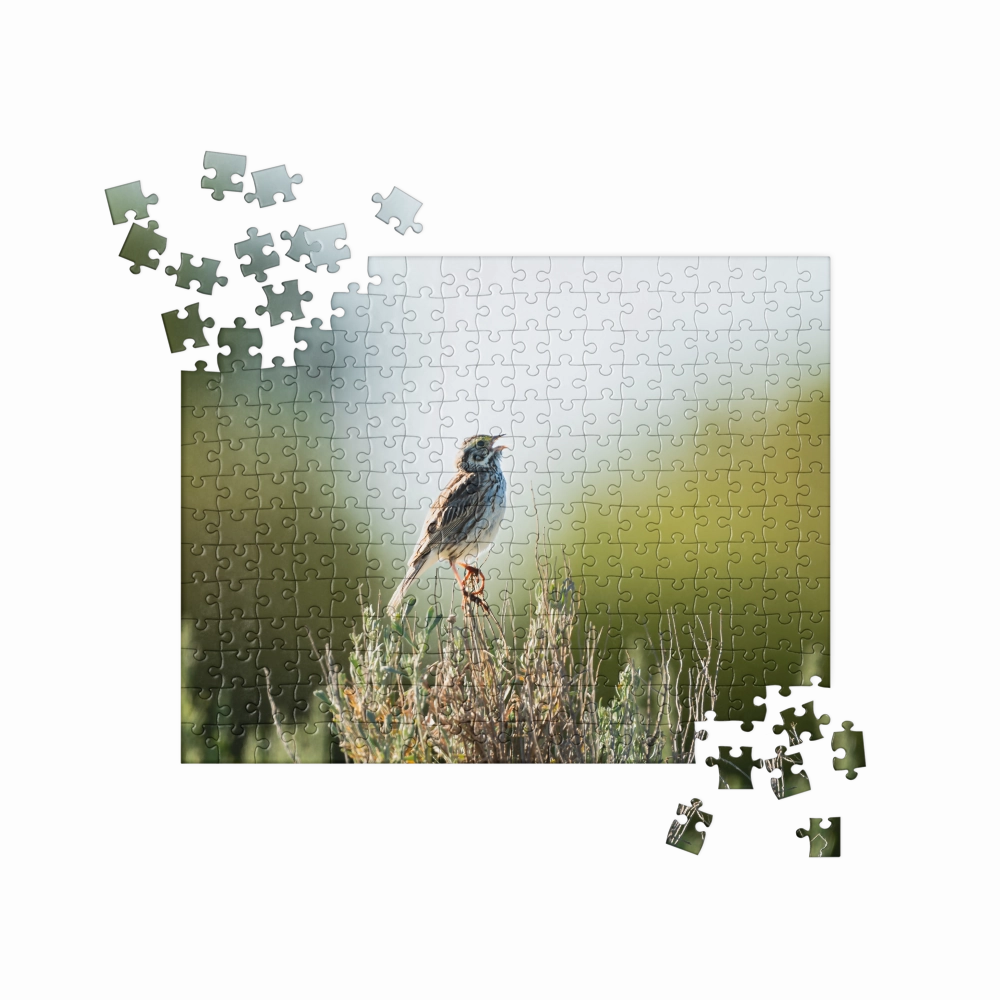 Song Sparrow Jigsaw puzzle