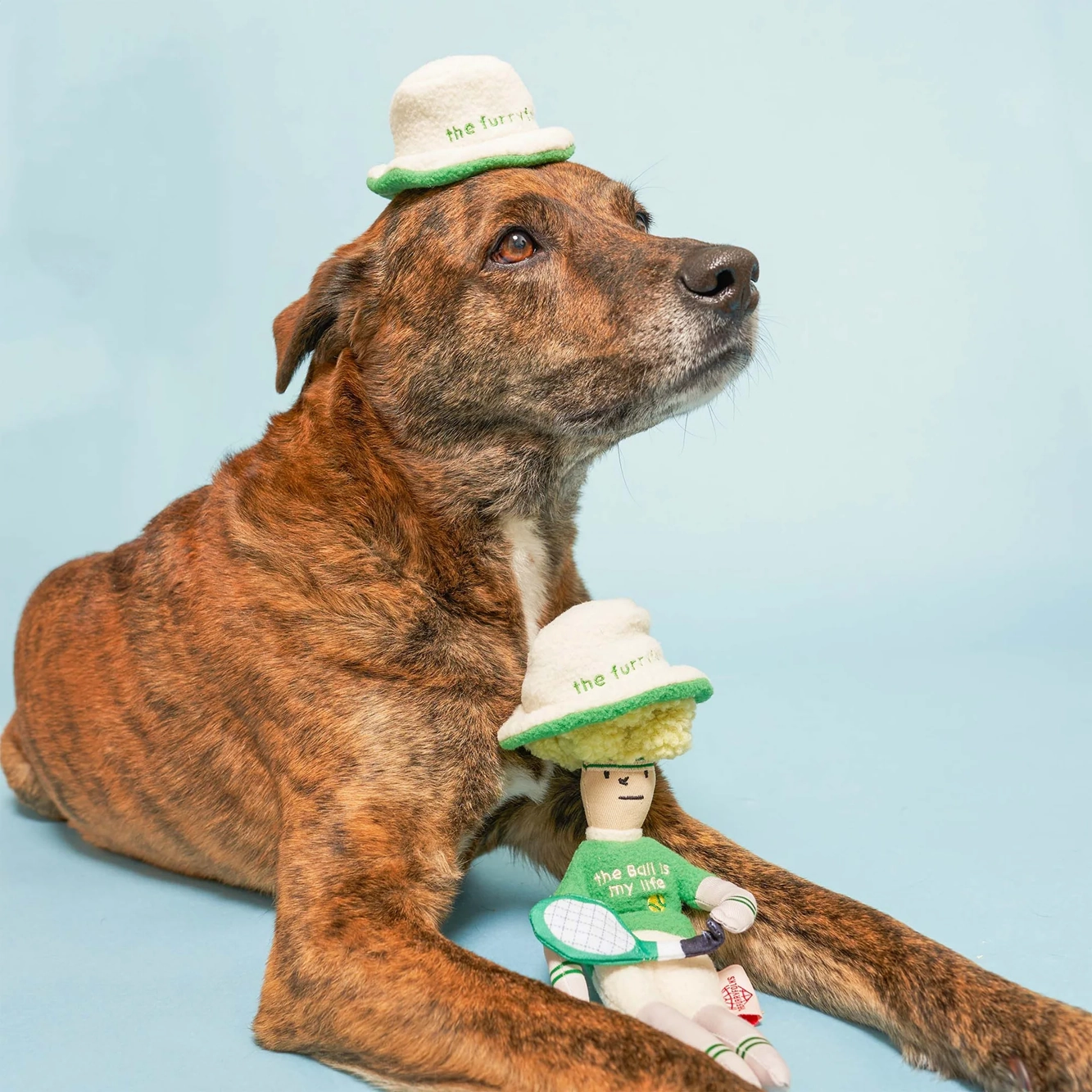 Squeaky Interactive Hooman Nosework Dog Toy, Tennis