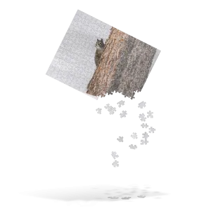 Squirrel Puzzle: Capture the Joy of Wyoming’s Quickest Critters