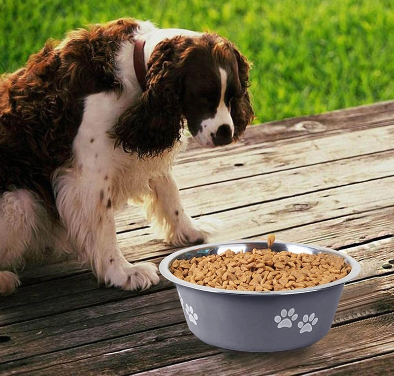 Stainless Steel Cute Paws Dog Bowl