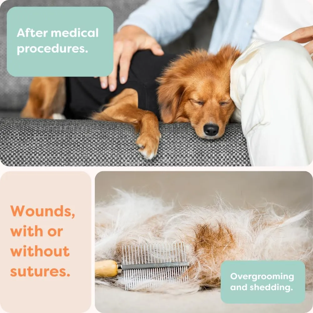 Suitical Original Recovery Suit - Breathable Full Body Shirt. Protects During Healing from Surgery, Incontinence, in Heat, and More. Professional Alternative to Dog Cone - Black, Medium