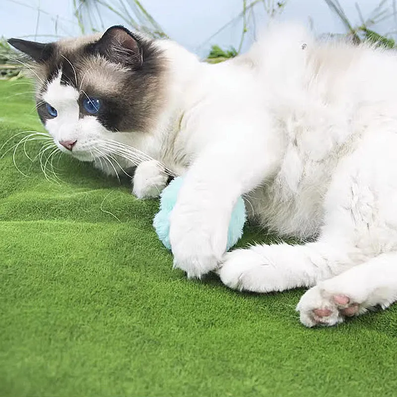 Three-color Sounding Plush Cat Toys