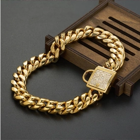 Titanium Steel Dog Collar with Gold Chain Buckle