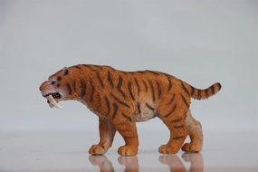 TNG Machairodus Model Realistic Prehistoric Animal Collector Home Decoration Gift