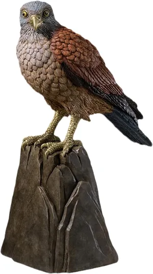 TONGSHIFU Common Kestrel Model Falcon Tinnunculus Figure Animal Collector Gift Scene Decor