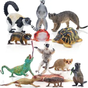 Toymany Madagascar Animal Figurine Toys Set, 12PCS Jungle Animals with Lemur Tortoise Chameleon Verreaux's Sifaka Gecko Fossa Frog -Educational Forest Animal Figure Toy Collection for Kids Adults
