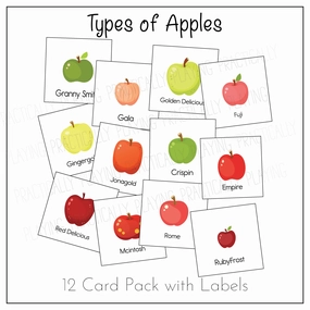 Types of Apples Game Essentials Pack: Printable Insert, Game and Loose Parts Pack- CRICUT PRINT AND CUT
