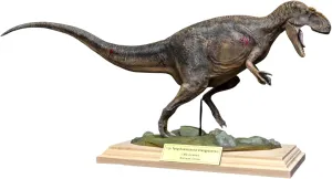 VWUVWU 1:20 Scale Yangchuanosaurus Model Dinosaur Animal Figure Sinraptoridae GK Decor Gift