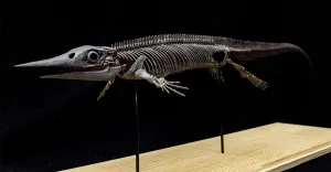 VWUVWU Xinpusaurus Figure Thalattosauria Dinosaur Resin Animal Model Collector GK Decor Gift for Adult
